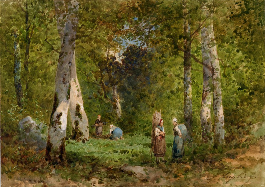 Boisières en forêt de Fontainebleau