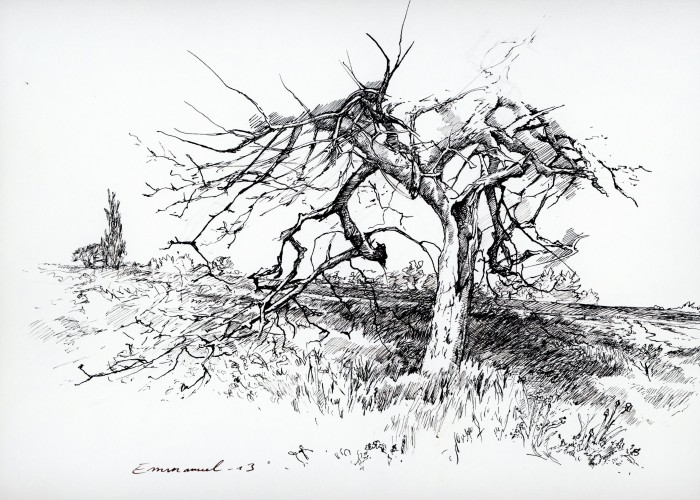 Arbre