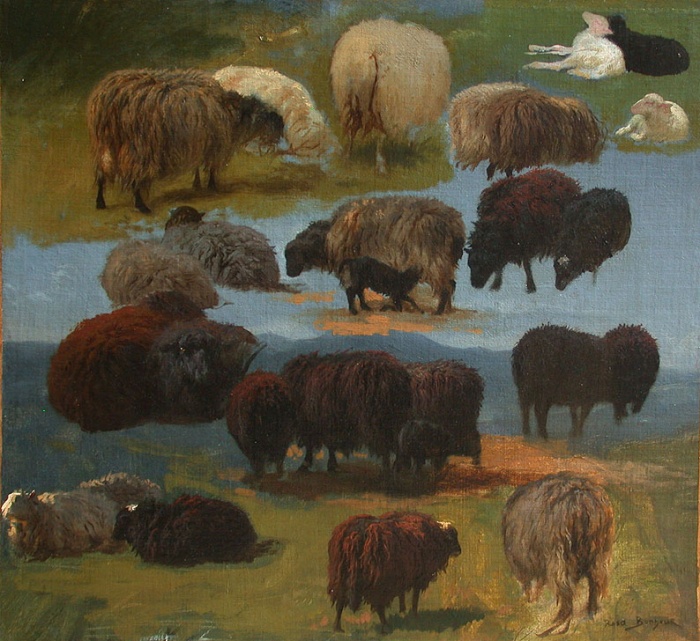 Etude de moutons sur fond de paysage montagneux