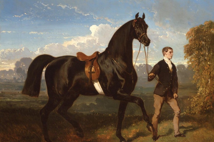 Cheval en main