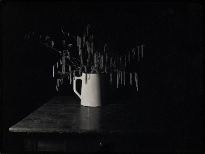 Nature morte (IX)