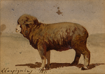 Le mouton