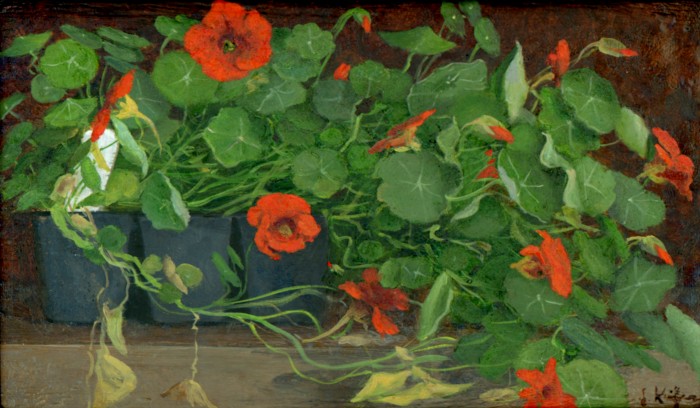 Abundance 