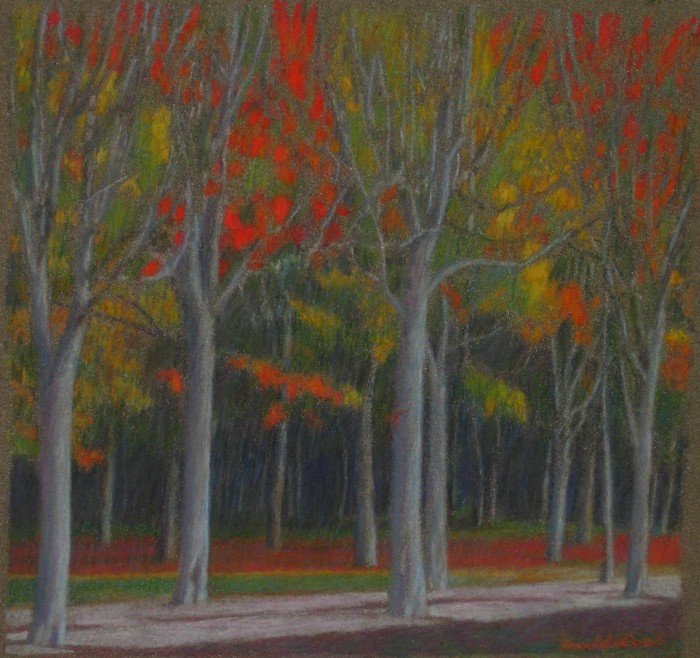 Promenade d'automne
