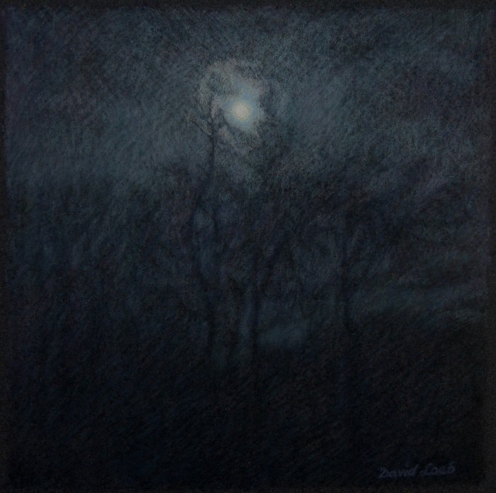 Nocturne de novembre